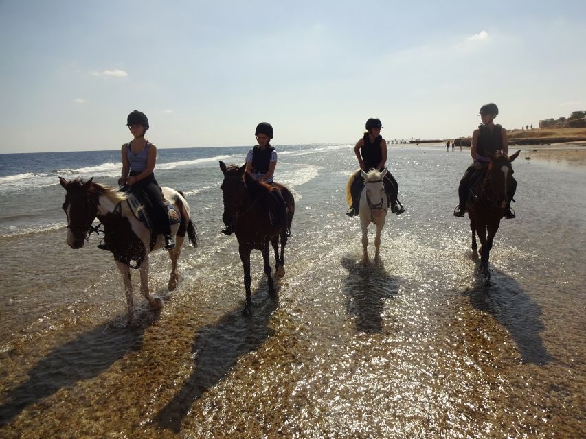 Hurghada: Sea & Desert Horse Tour, Stargazing, Dinner & Show - What the evening dinner and show adds