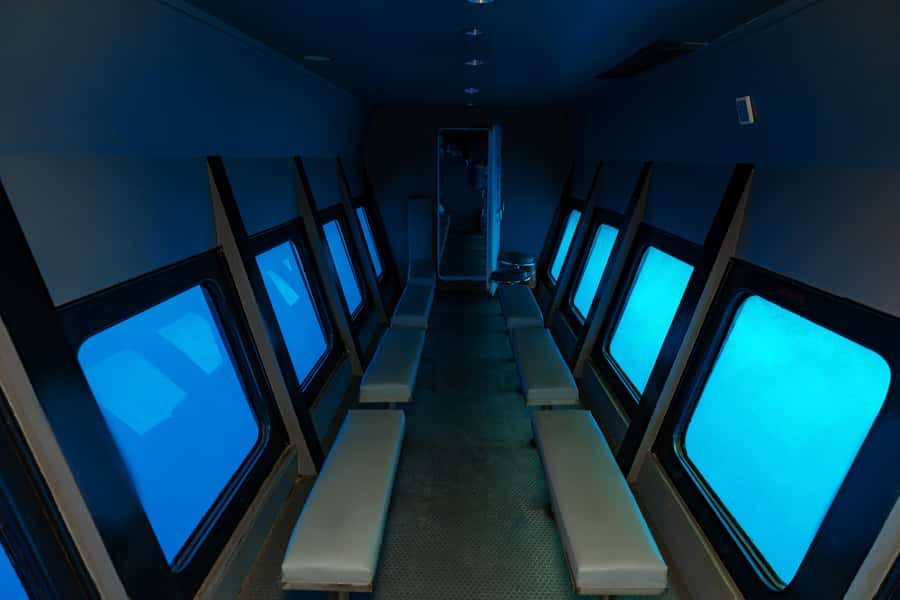 Hurghada: Semi-Submarine Boat Tour w/ Snorkeling & Transfer - Watching fish through the underwater windows