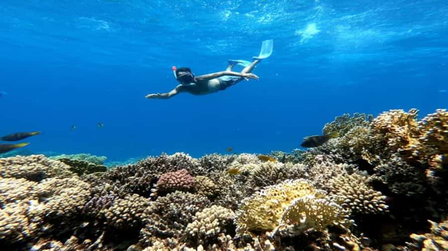 Hurghada: Snorkeling 6 x 1 to Orange Bay w Diving & Massage - Key points to know before booking