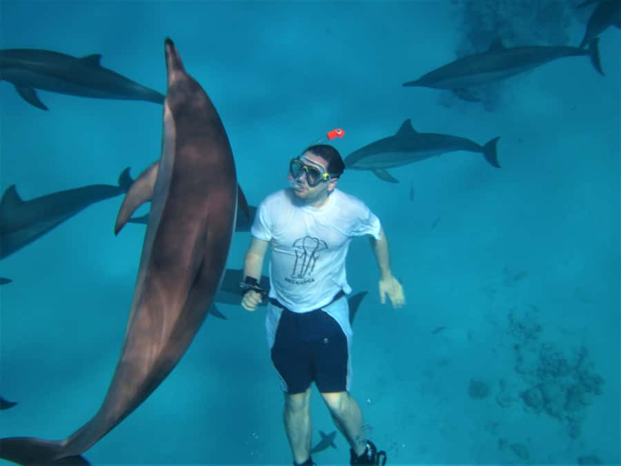 Hurghada: Speedboat Dolphin Watching & Snorkeling with Lunch - Searching for dolphins in open water