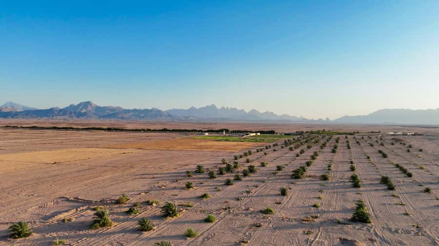 Hurghada: Star Stargazing Desert Adventure by Jeep & Dinner - Sunset from the high hill