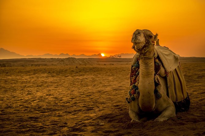 Hurghada: Star Watching Desert Adventure by Jeep with Dinner - Key points at a glance