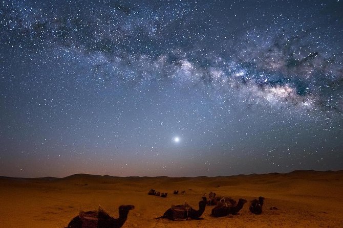 Hurghada: Star Watching Desert Adventure by Jeep with Dinner - Camel photos and a taste of Bedouin life