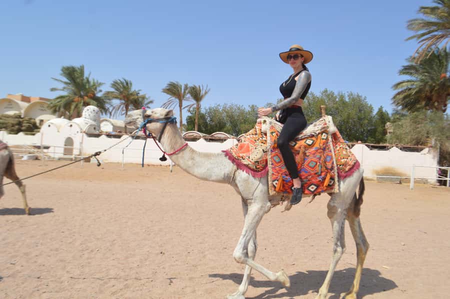Hurghada: Sunset Quad Bike, Camel w/ Opt Stargazing and BBQ - Sunset and the five-minute camel ride