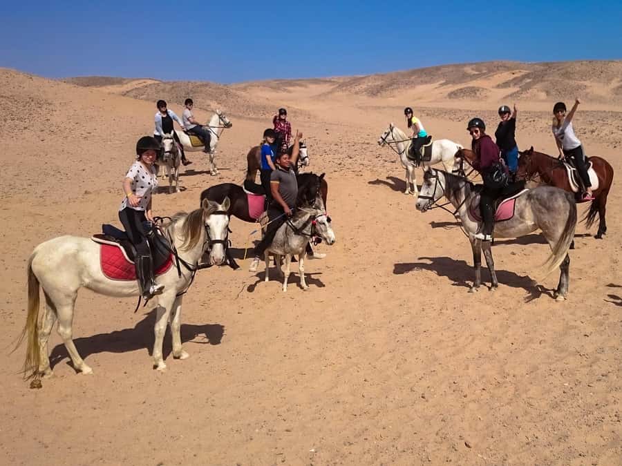 Hurghada: Sunset Sea, Desert Horse W Opt, Dinner, Stargazing - How the options compare