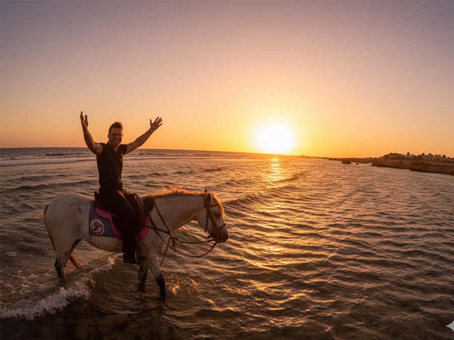 Hurghada: Sunset Sea, Desert Horse W Opt, Dinner, Stargazing - What the Hurghada horse ride is really like