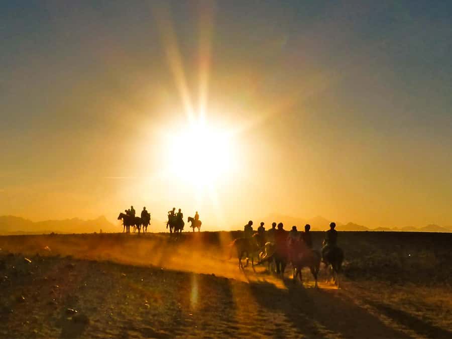 Hurghada: Sunset Sea, Desert Horse W Opt, Dinner, Stargazing - The horses, the guides, and beginner confidence
