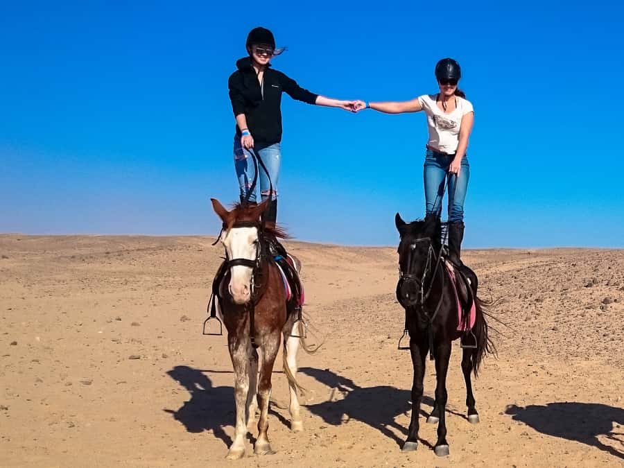 Hurghada: Sunset Sea, Desert Horse W Opt, Dinner, Stargazing - Desert paths, Red Sea views, and photo stops