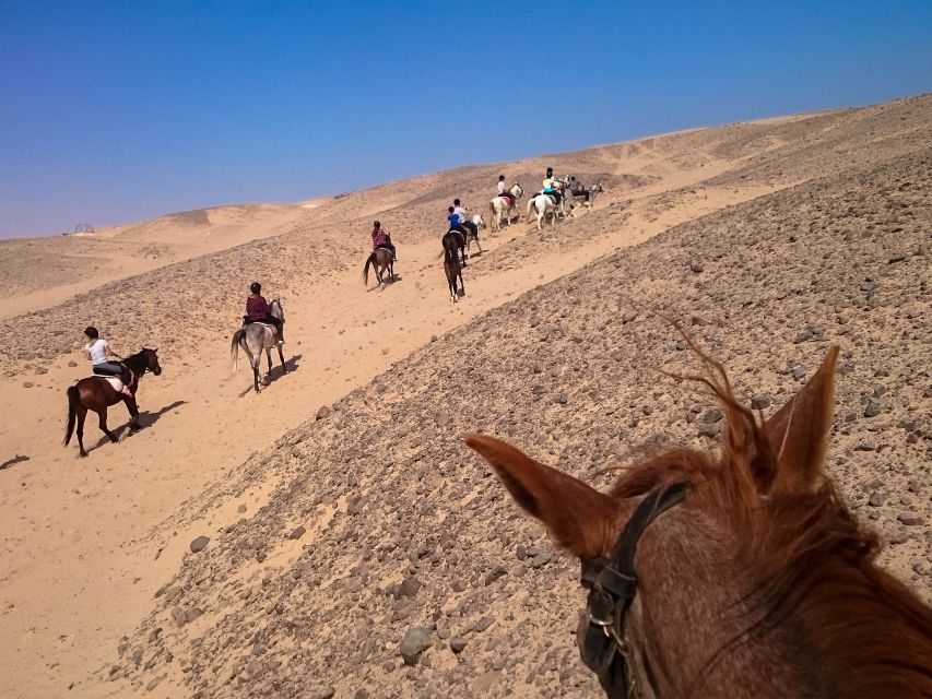 Hurghada: Sunset Sea, Desert Horse W Opt, Dinner, Stargazing - Dinner, dance, and stargazing after dark