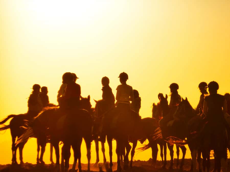 Hurghada: Sunset Sea, Desert Horse W Opt, Dinner, Stargazing - Transport, timing, and the real value of $29