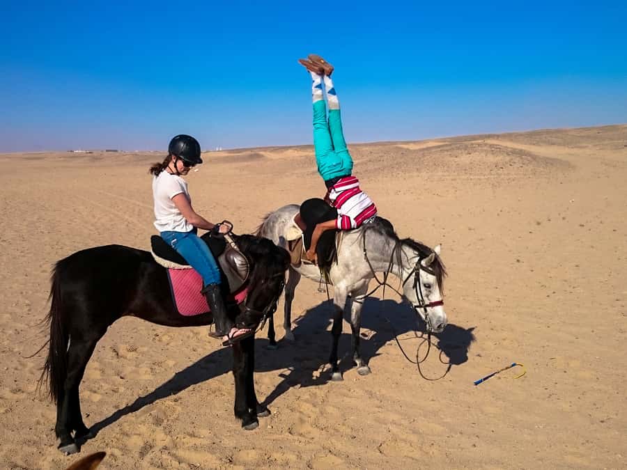 Hurghada: Sunset Sea, Desert Horse W Opt, Dinner, Stargazing - Safety, comfort, and who should skip it
