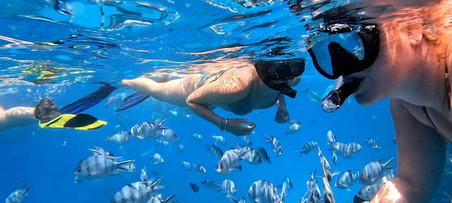 Hurghada: White Island Speedboat Tour, Snorkeling, & Lunch - Who will enjoy this Hurghada outing