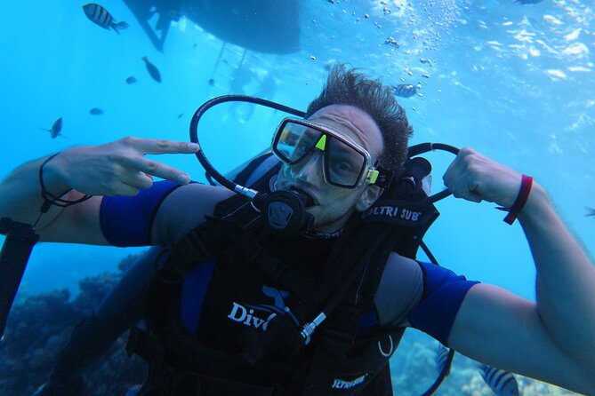 Intro Diving 2 Stops For Beginners with Pick-up and Lunch - Hurghada - The Second Session and What You May See