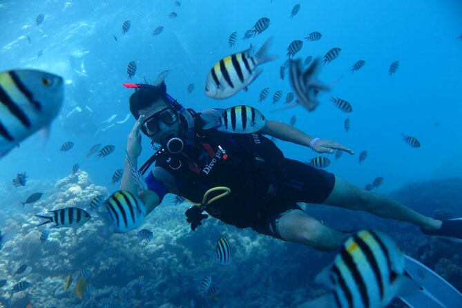 Intro Diving 2 Stops For Beginners with Pick-up and Lunch - Hurghada - Equipment, Safety, and Instructor Support