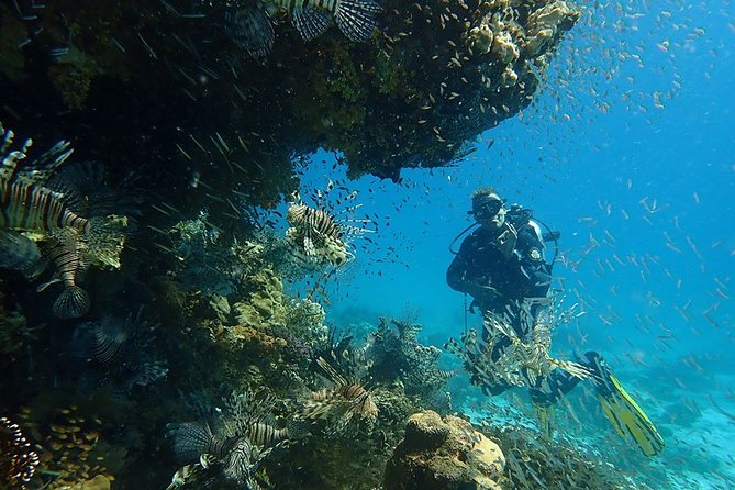 Intro Diving 2 Stops For Beginners with Pick-up and Lunch - Hurghada - Who Will Enjoy This, and Who May Not