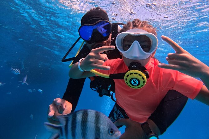 Intro Diving Beginner and Discover Red Sea Underwater - What your $40 buys in Hurghada