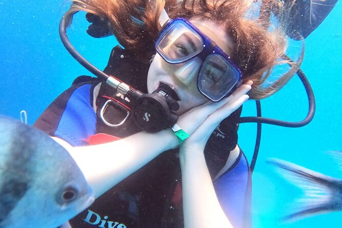 Intro Diving Beginner and Discover Red Sea Underwater - Morning pickup from Hurghada and the marina