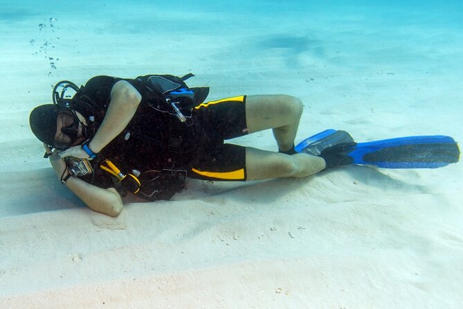 Intro Diving for Beginners 2 Stops Diving with Lunch - Hurghada - The boat ride gives you time to settle in