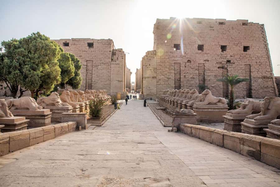 Luxor: East and West Bank Private Full-Day Tour - Lunch, transport, and the practical value of privacy