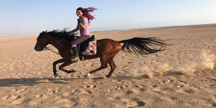 Luxor: Scenic Camel or Horse Ride - FAQ