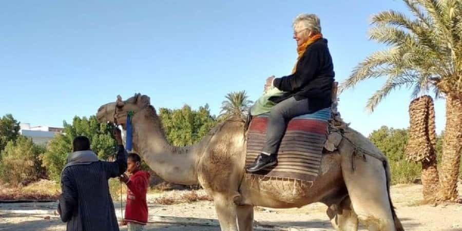 Luxor: Scenic Camel or Horse Ride - What the one-hour ride feels like