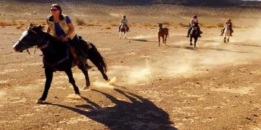 Luxor: Scenic Camel or Horse Ride - Practical advice for a smoother ride
