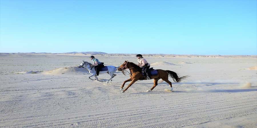 Luxor: Scenic Camel or Horse Ride - Should you book this camel or horse ride?