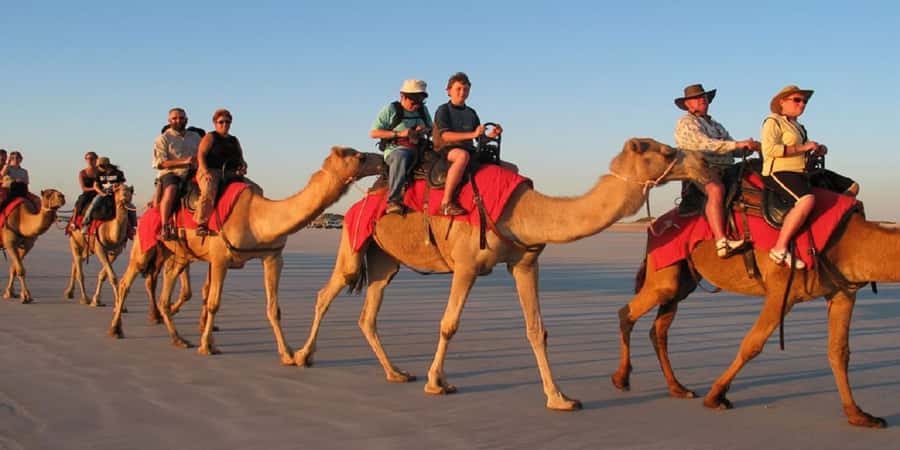 Luxor: Scenic Camel or Horse Ride - Riding beside fruit trees and village homes