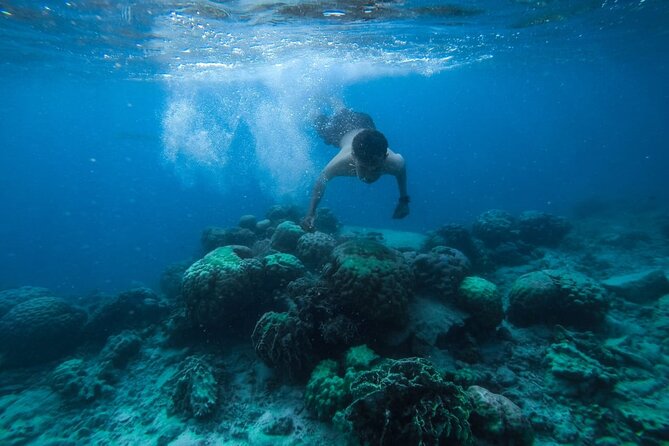 Luxury Cruise inc. Snorkeling/Massage/Island/water sport & Lunch - Two snorkeling stops on the Red Sea