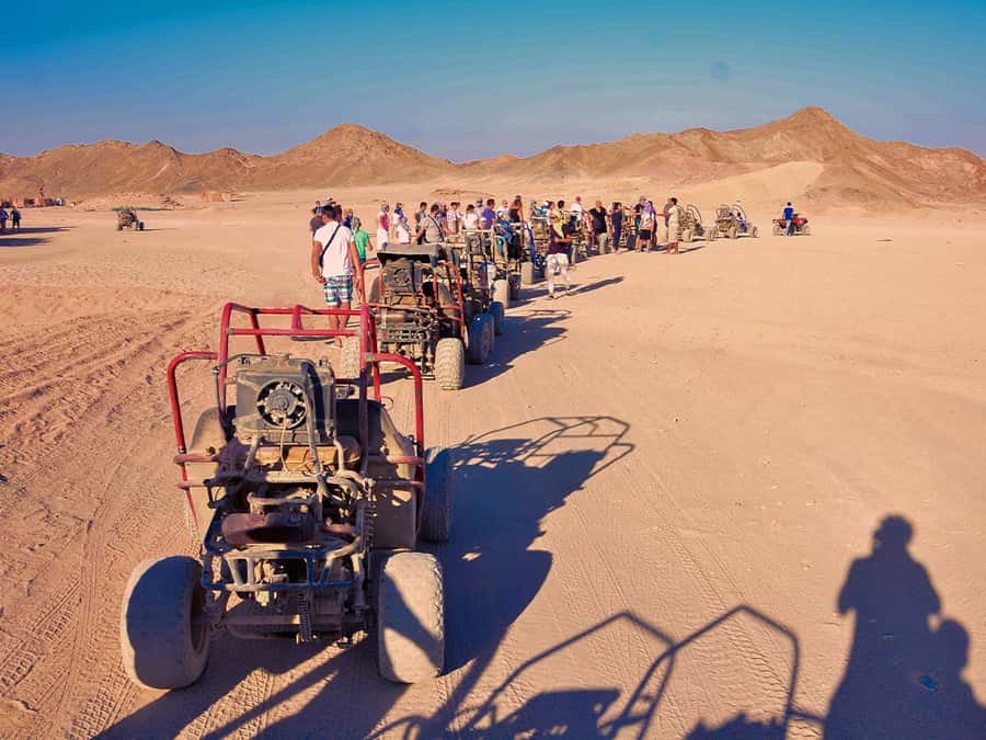 Makadi Bay: ATV, Sea View, Camel, Stargazing, Dinner & Show - Transfers from Makadi Bay, Hurghada, and beyond