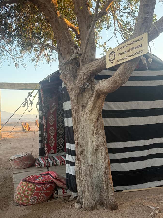 Makadi Bay: BADU Luxury Bedouin Dinner Experience & Stargaze - Making bread and roasting coffee