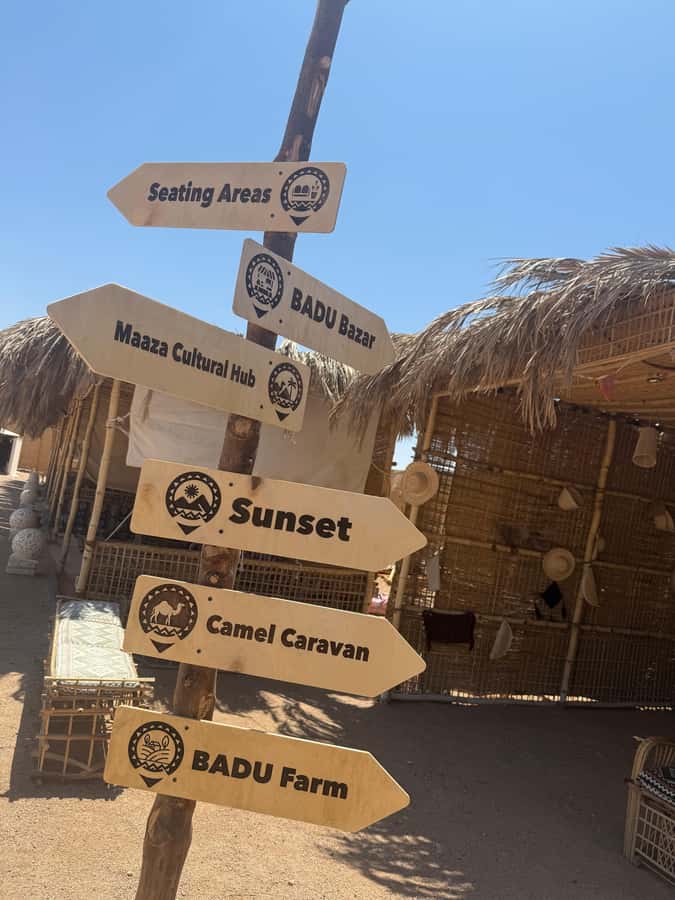 Makadi Bay: BADU Luxury Bedouin Dinner Experience & Stargaze - The four-course dinner under the stars