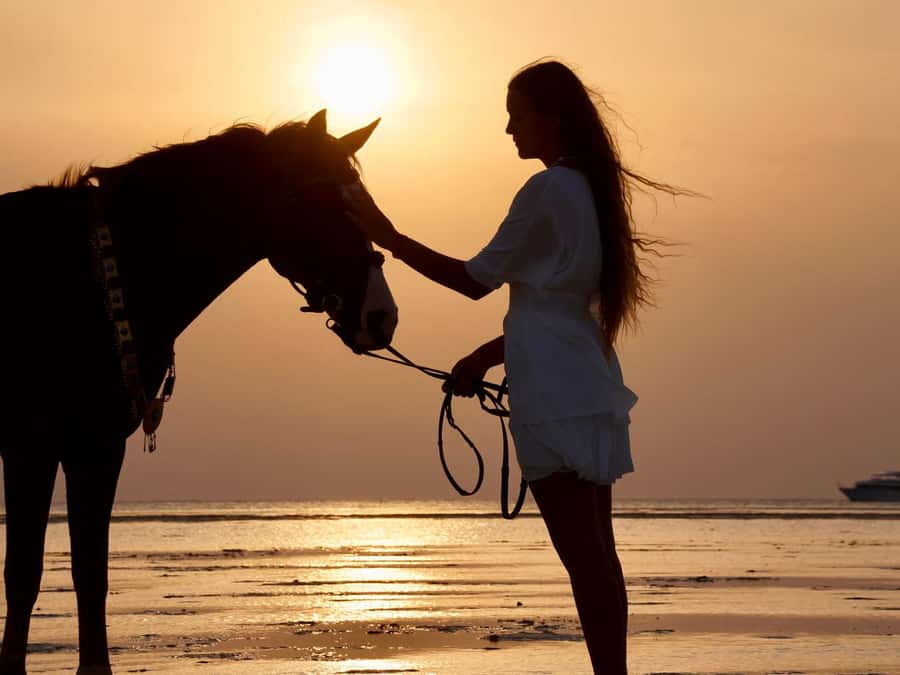Makadi Bay: Horse Riding in Desert & Sea w Guide + Transfers - Key points to know