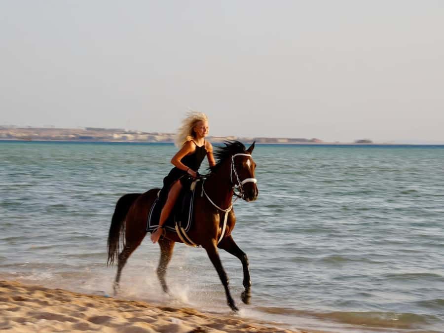 Makadi Bay: Horse Riding in Desert & Sea w Guide + Transfers - What the riding pace may feel like
