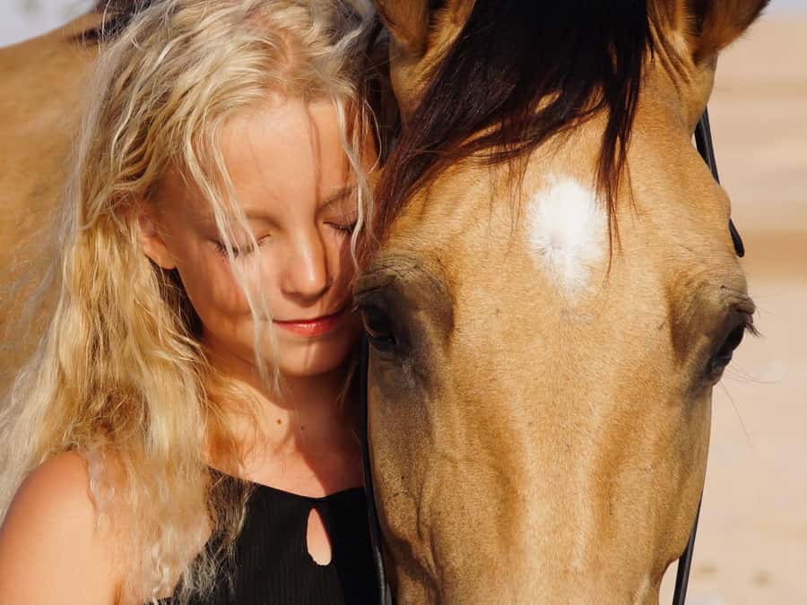 Makadi Bay: Horse Riding in Desert & Sea w Guide + Transfers - Horses, guides, and the human side of the ride