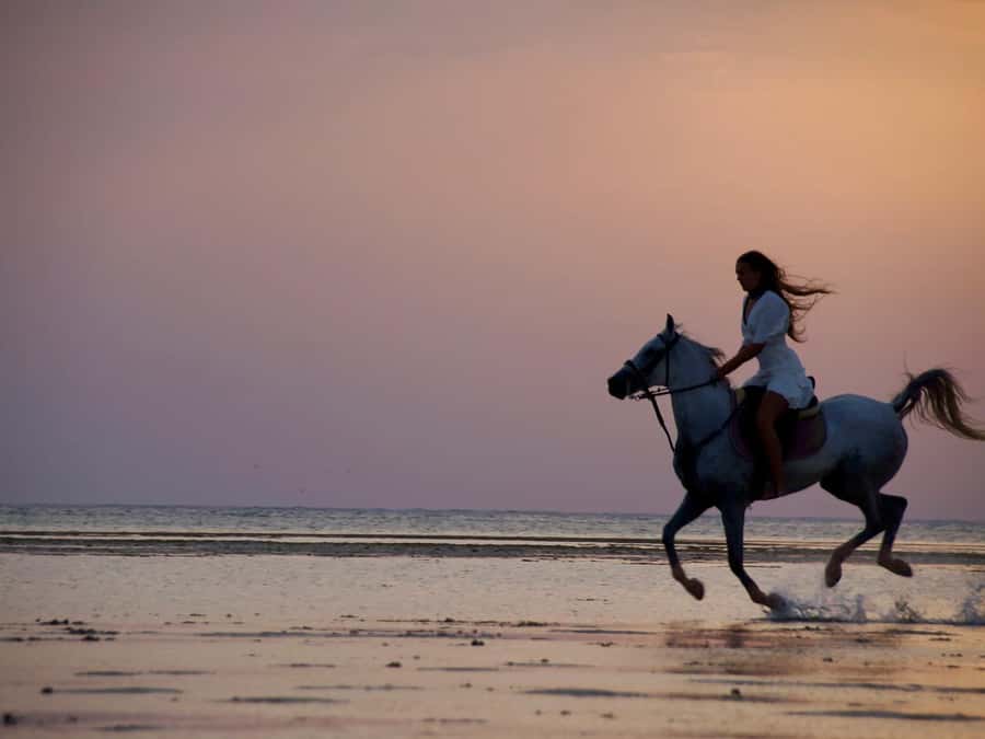 Makadi Bay: Horse Riding in Desert & Sea w Guide + Transfers - Booking details worth checking before you go