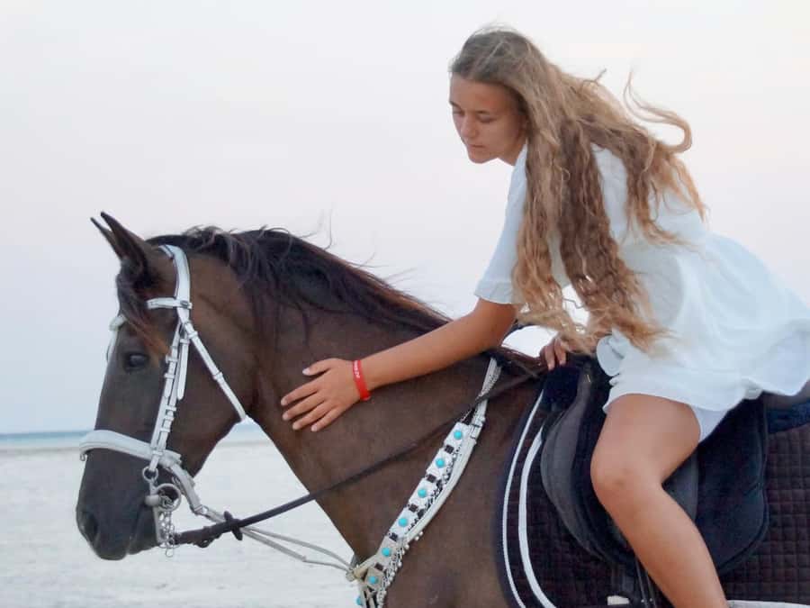 Makadi Bay: Horse Riding in Desert & Sea w Guide + Transfers - Should you book the Gamila Horse ride?