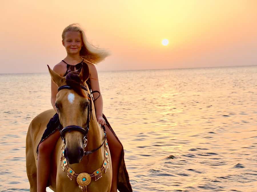 Makadi Bay: Horse Riding in Desert & Sea w Guide + Transfers - Two hours between golden sand and blue water