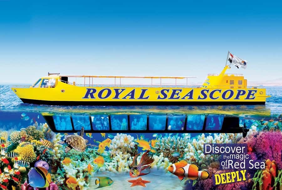 Makadi Bay: Royal Seascope Submarine Cruise & Snorkel stop - Key points to know before you book