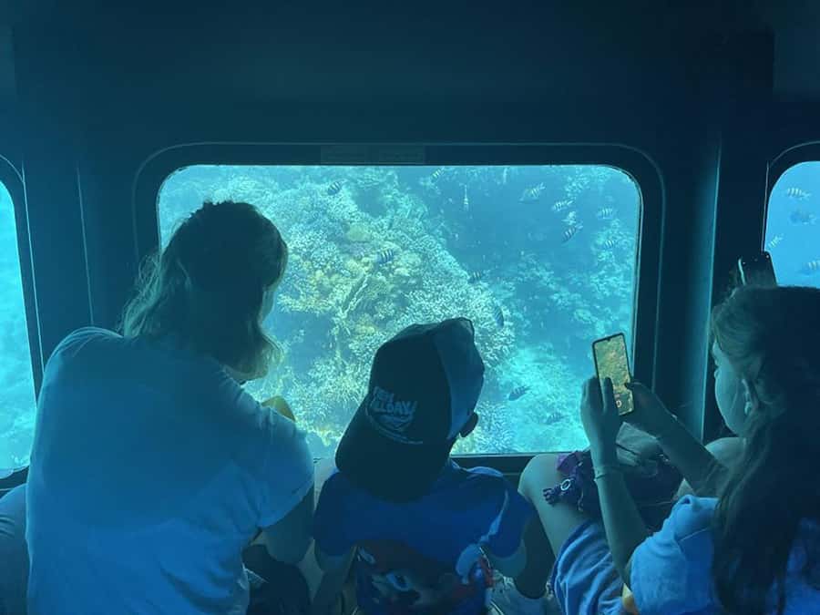 Makadi Bay: Royal Seascope Submarine Cruise & Snorkel stop - Seeing the Red Sea from three meters below the surface