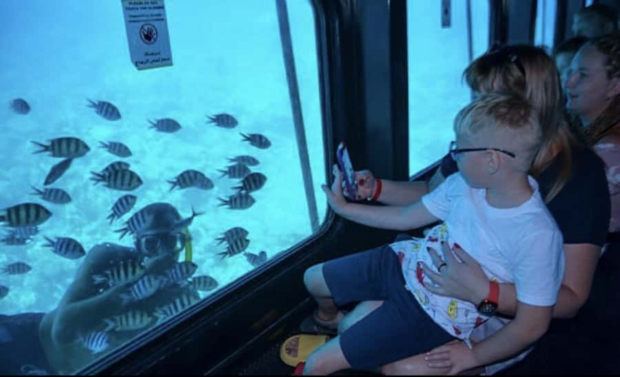 Makadi Bay: Royal Seascope Submarine Cruise & Snorkel stop - Forty-five minutes behind the underwater windows
