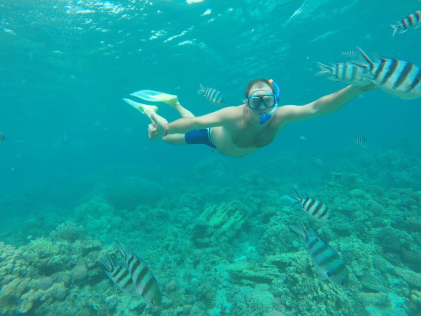 Makadi Bay: Snorkelling and Diving Island Trip - Snorkeling in the private lagoon