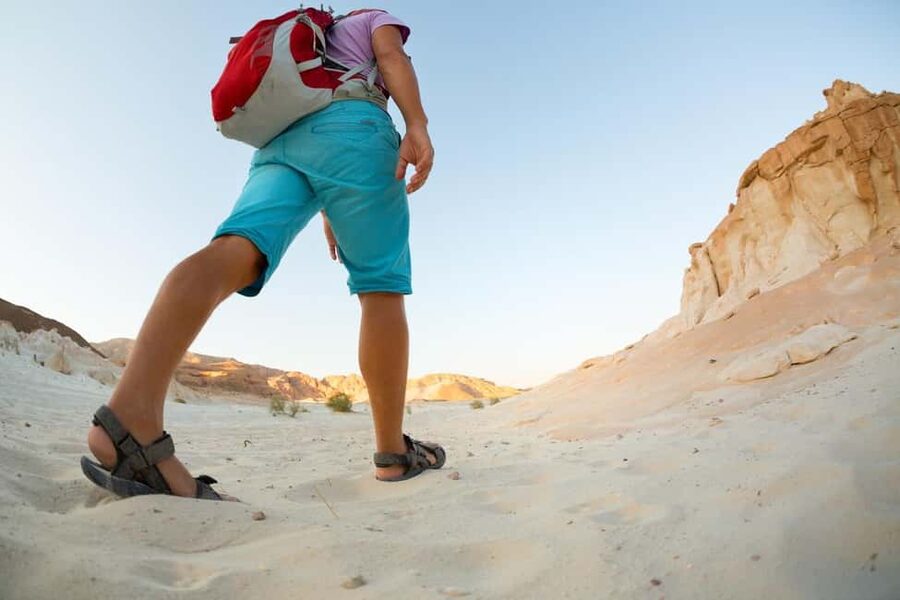 Marsa Alam Bedouin Nights: Jeep Safari, Dinner & Stargazing - The brief camel stop