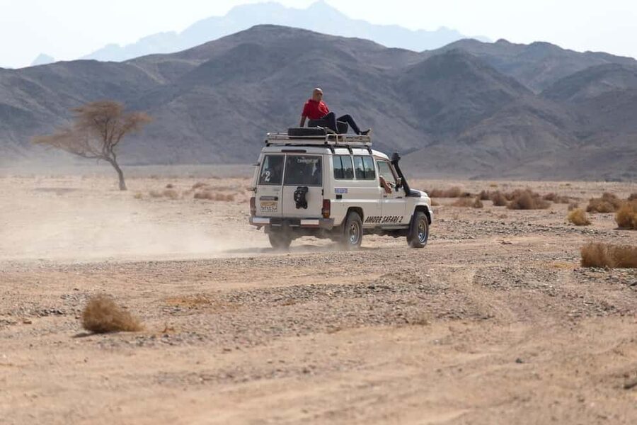 Marsa Alam Bedouin Nights: Jeep Safari, Dinner & Stargazing - Tea, water, and a look at camp life