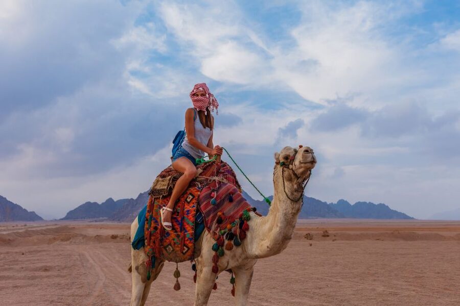 Marsa Alam Bedouin Nights: Jeep Safari, Dinner & Stargazing - Campfire tea and local stories