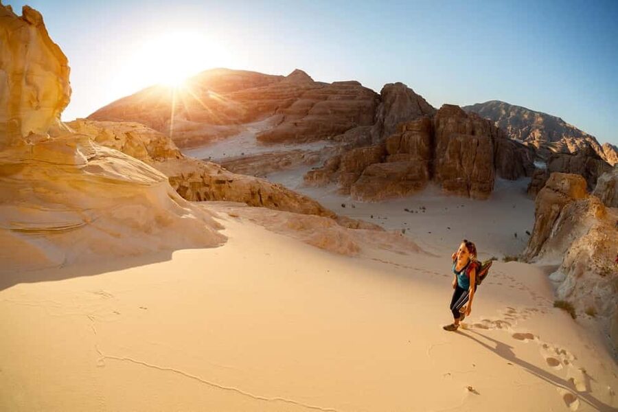 Marsa Alam Bedouin Nights: Jeep Safari, Dinner & Stargazing - Telescopes and the night sky