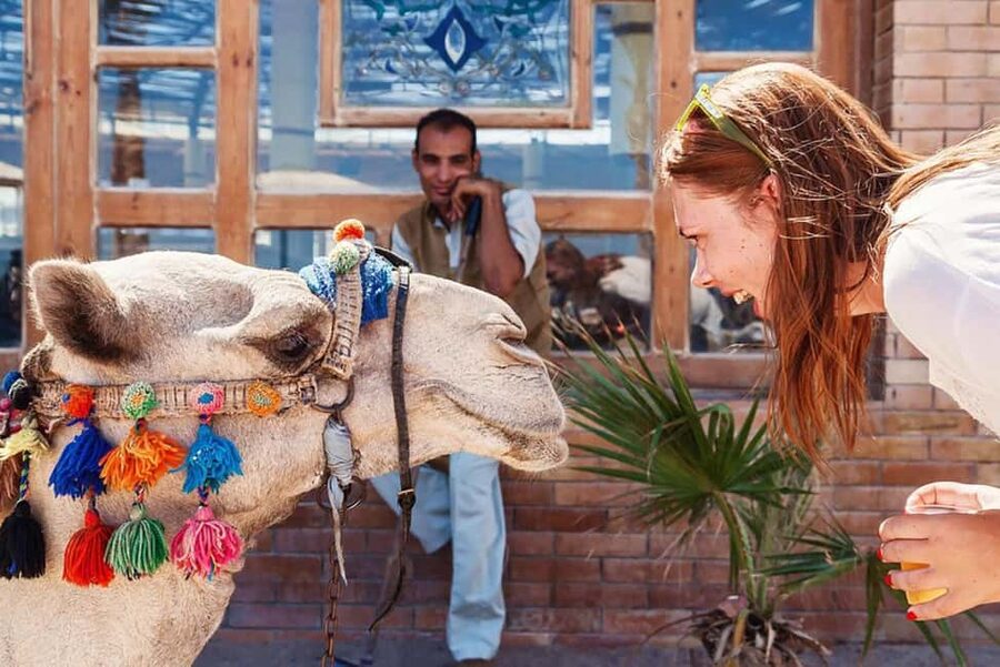 Marsa Alam Bedouin Nights: Jeep Safari, Dinner & Stargazing - What the $76 price really covers