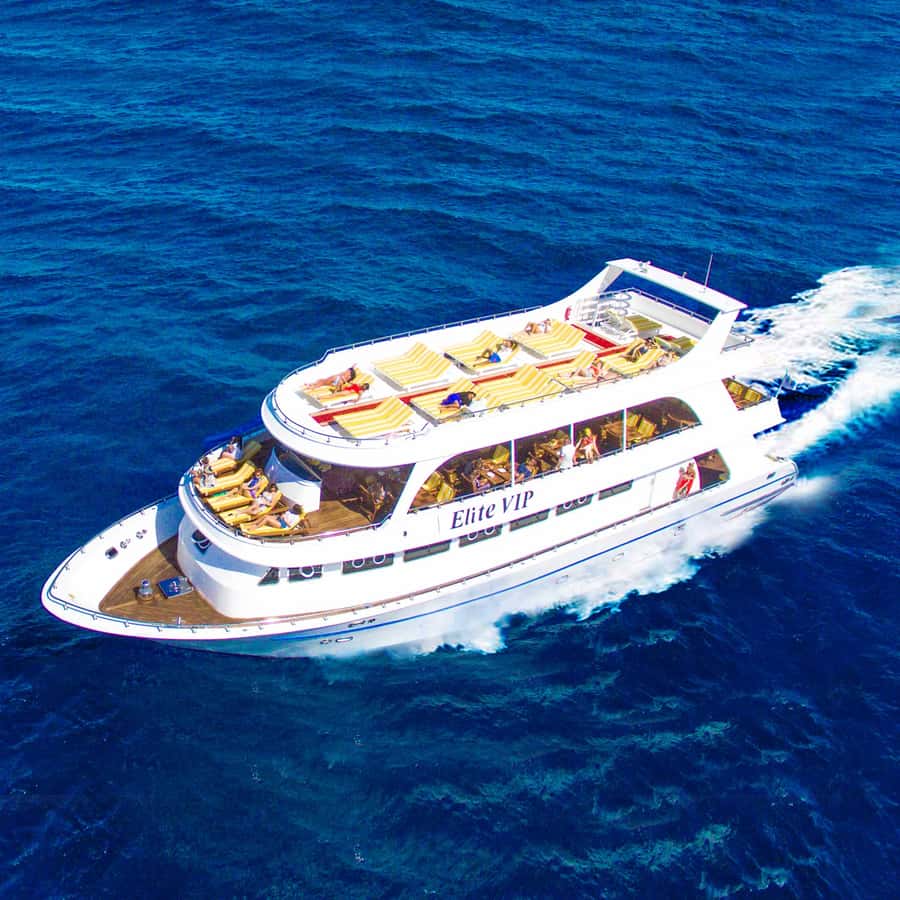 Marsa Alam: Elite vip Turtle bay snorkeling with BBQ Lunch - Why the Elite VIP boat matters