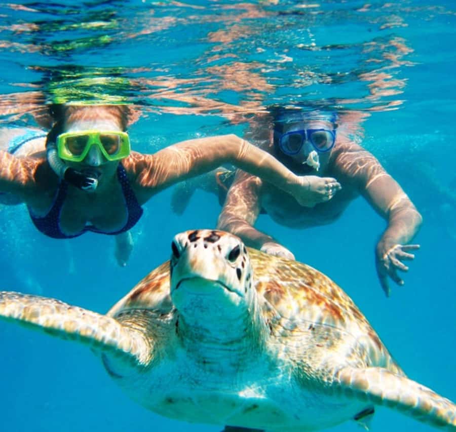 Marsa Alam: Pirates Premium Boat to turtle bay with lunch - Lunch or dinner with Red Sea views