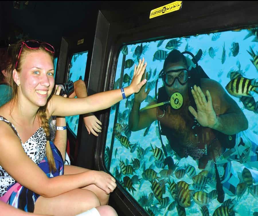 Marsa Alam: Royal Seascope Submarine Cruise with Pickup - Who should choose this semi-submarine cruise